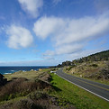 DSC09255.jpg