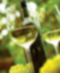 Tastings