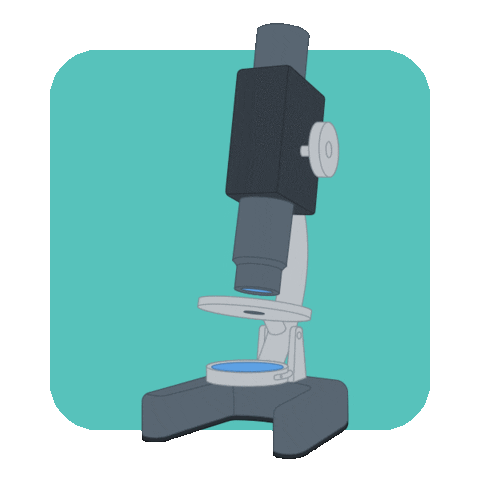 microscope.gif