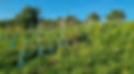 wine-date-masterclass-winterthur-2025.jpg