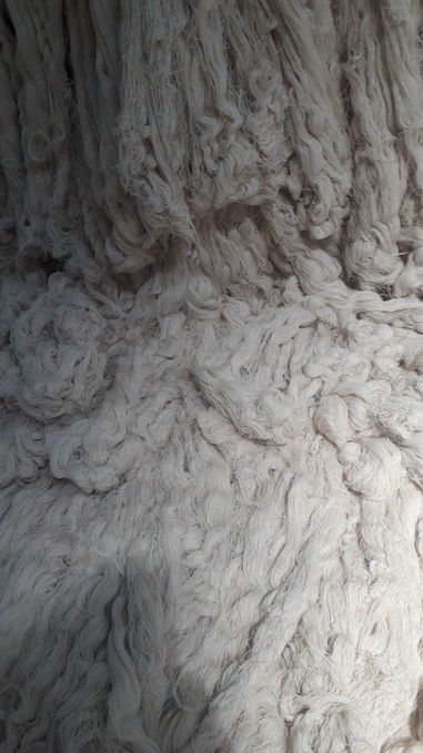 coton detail 2WA0012.jpeg
