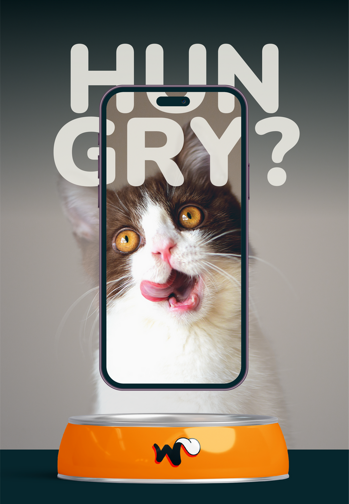Imagen_Gatocelu_Mobile.png