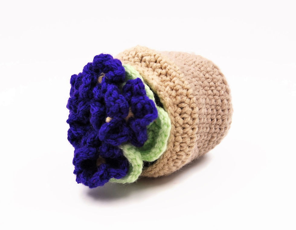 Thumbnail: Crochet African Violets