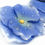 Thumbnail: Blue fabric flower hair pins