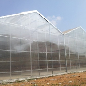 Copy of TOP GREENHOUSES  Presentation-5.11.14.ppt-8 — крупный размер.jpeg