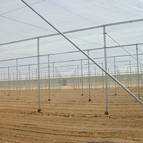 The interior of a high-tech Ardigo greenhouse 