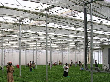 2 — средний размер.jpeg