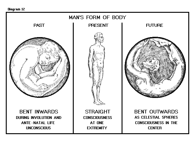 Rosicrucian cosmo-conception diagram 12 - Man's Form of Body