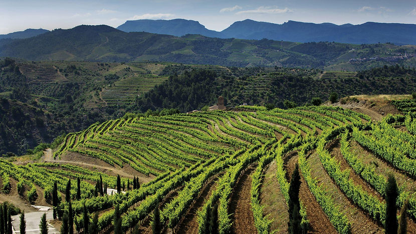 priorat.jpg