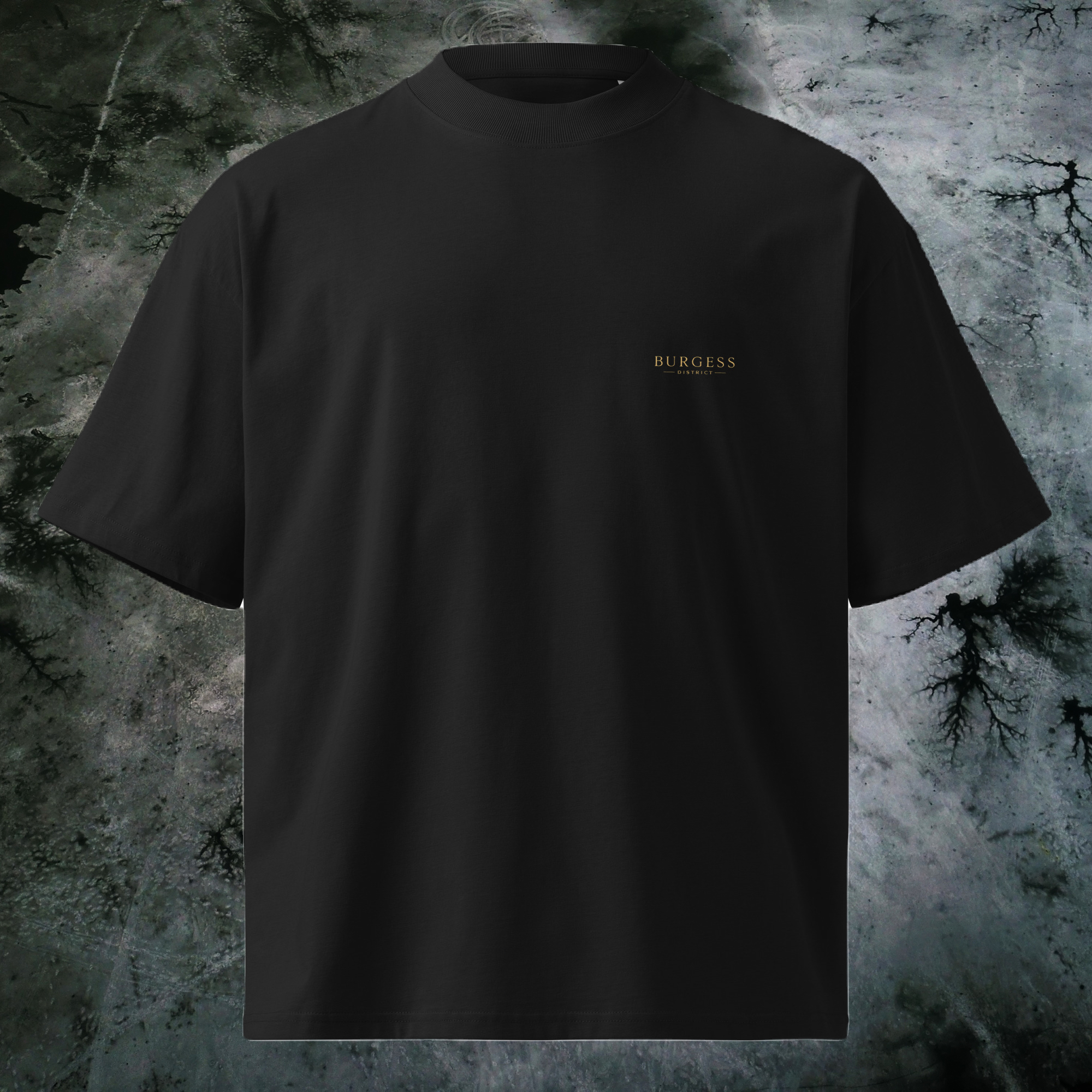 Burgess District Unisex organic Oversized High Neck Tee
