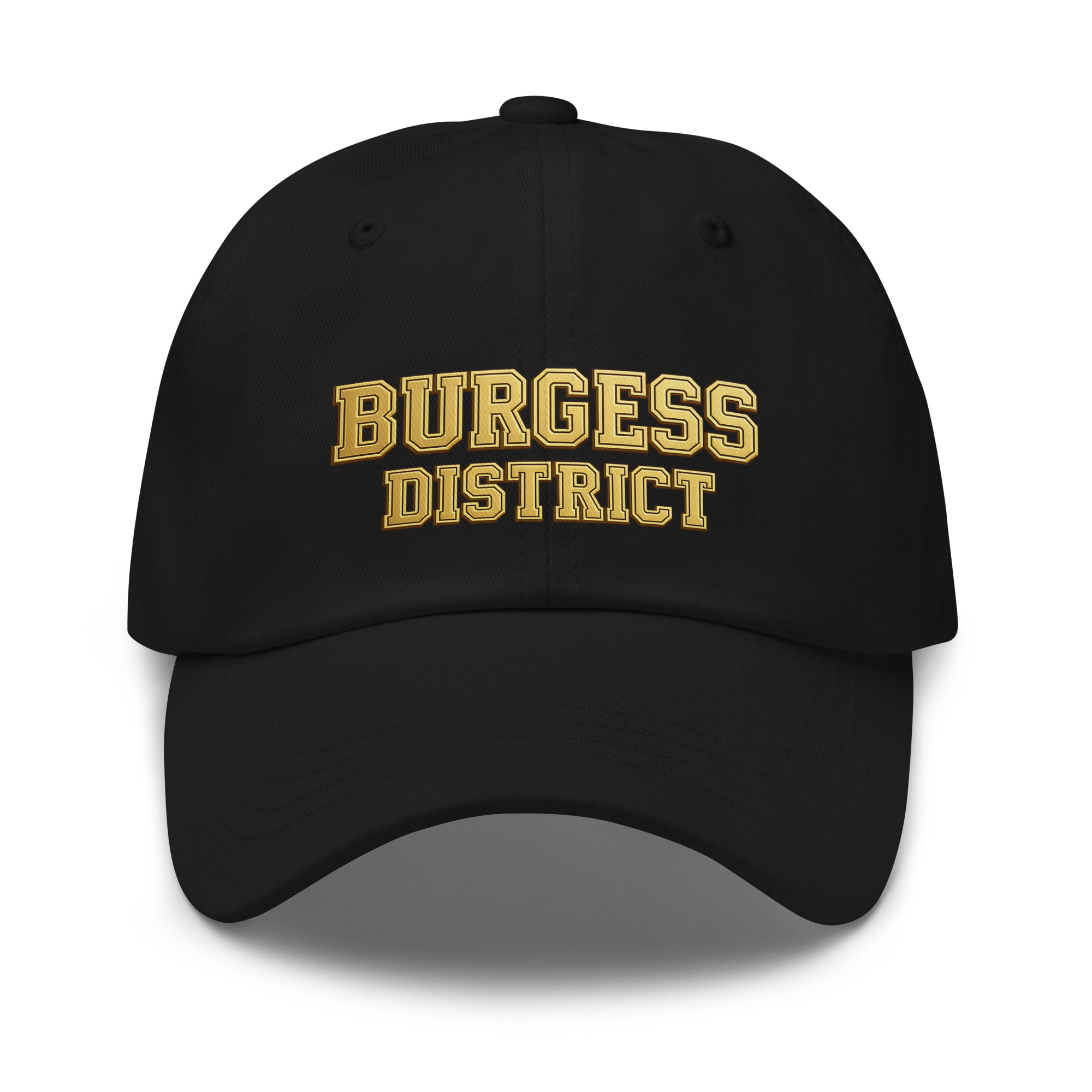 Burgess District Classic Hat