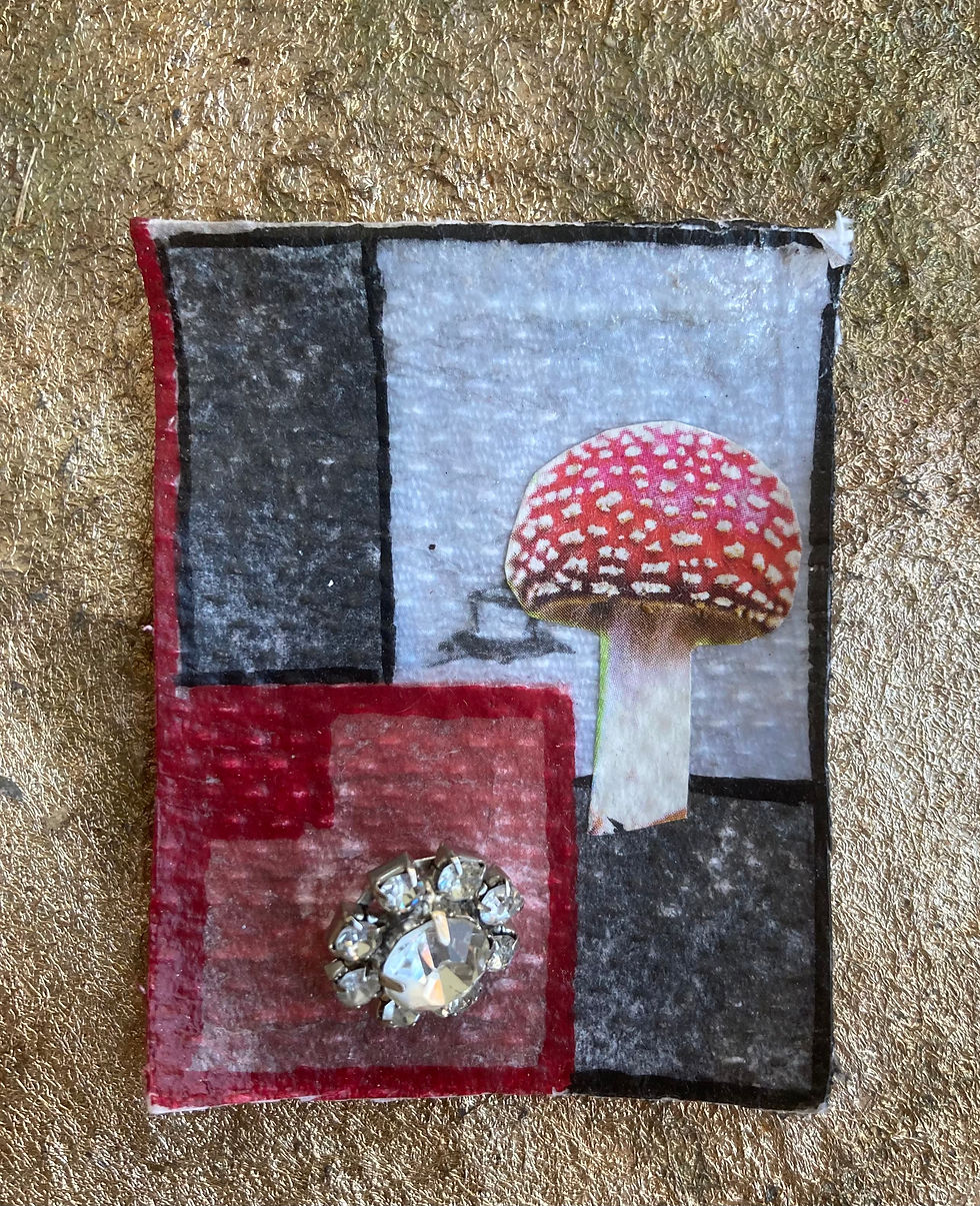 Brouche 5