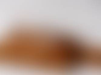 Two clear glasses and a small cactus in a clay pot sit on a wooden cutting board against a white background. Shadows add depth.