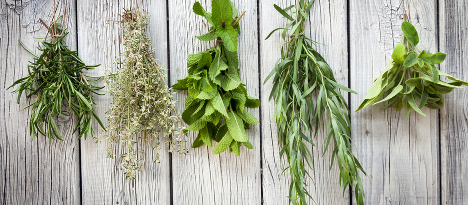 Five bundles of fresh herbs hang on rustic wooden planks. Green leaves create a natural, earthy vibe against the light wood background.