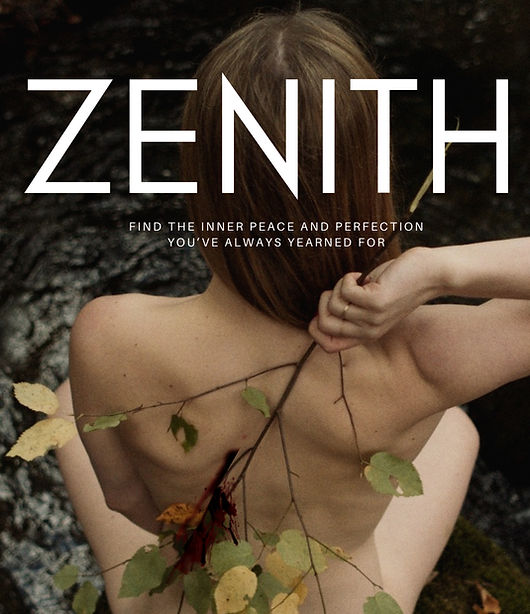 Anna Miles Work Sample 2 - Zenith (1)_edited.jpg