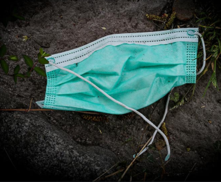 Covid-19 and Sustainability