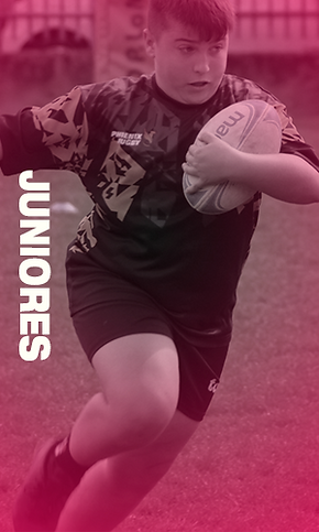 Harlequins Juniores