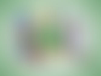 Folder ‘Classificação do Modo de Ação de Inseticidas’