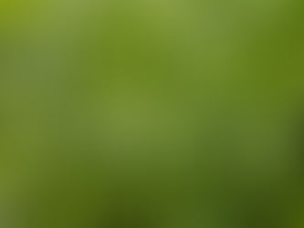 Custo adaptativo (“fitness cost”)