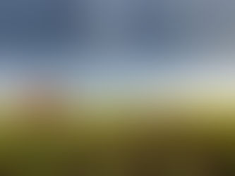 O uso de inseticidas foliares na área de refúgio deve ser minimizado