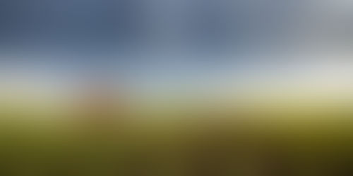 O uso de inseticidas foliares na área de refúgio deve ser minimizado