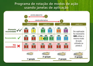 Manejo da resistência da cigarrinha-do-milho