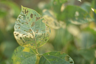 Monitorar situações de insucesso de controle