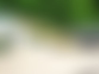 Misturas de inseticidas