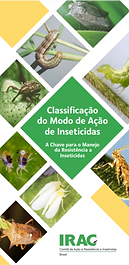 Classificação do modo de ação de inseticidas (Versão 9.1).png