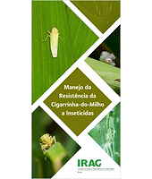 Cigarrinha-do-milho (Dalbulus maidis)