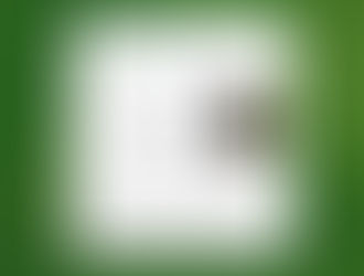 Metodologia 030: Monitoramento da Suscetibilidade do Percevejo-marrom
