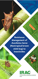 Resistance Management of Euschistus heros (Neotropical brown stink bug) to Insecticides EN