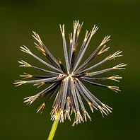 shutterstock_1060015763_edited.jpg