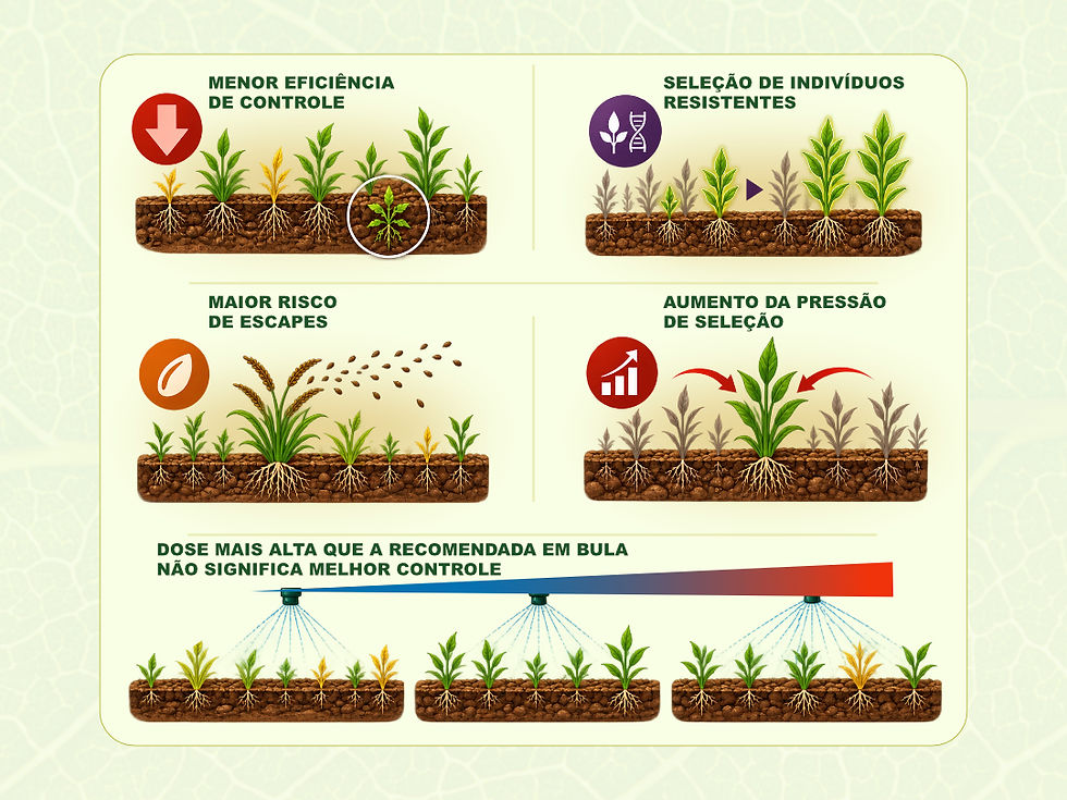 Dose fora do recomendado: Quais os riscos?