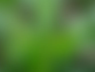 Possíveis explicações para o insucesso no controle