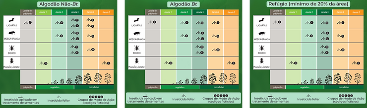Manejo da resistência de insetos (MRI) em algodão
