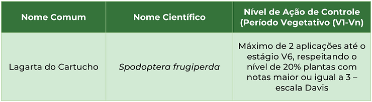 Manejo de áreas de refúgio para a cultura do milho