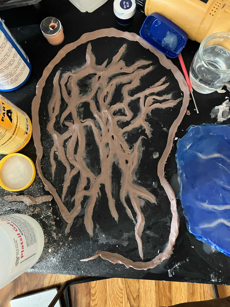 Prosthetic Mold Process
