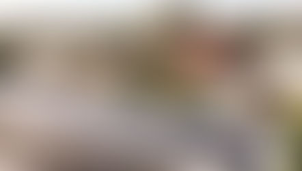 Insulation vs Solar Panels: Why Investing in Insulation is a Smart Choice for Your Home