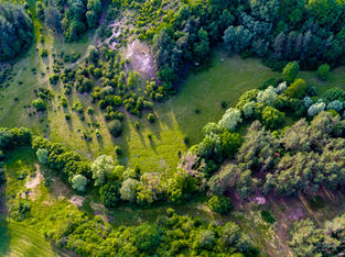 Las i Pola w Wabczu z drona