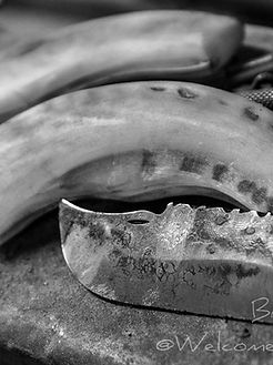 10_L'Atelier coutelier Jean-Charles Bianconi Calenzana (26).jpg