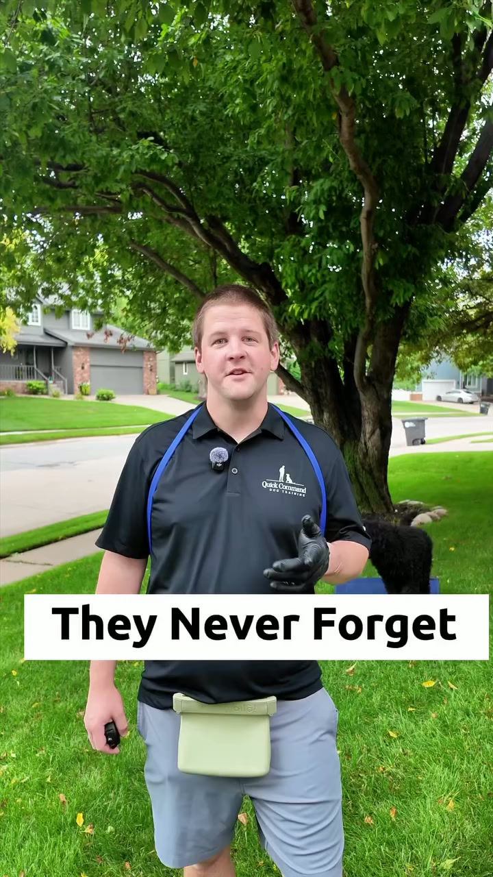18100395047586197.mp4