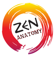 Zen Anatomy logo