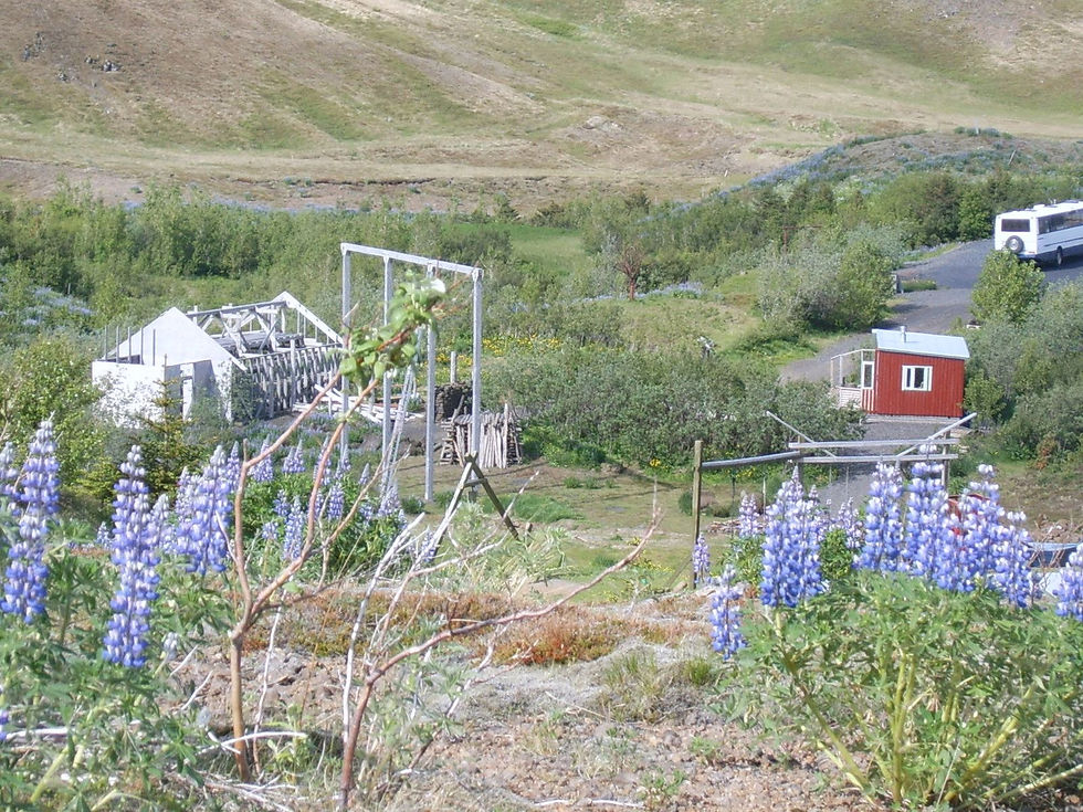 Smiðjan í byggingu 2008