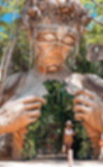 ree