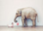 Elephant with lolipop giving baby