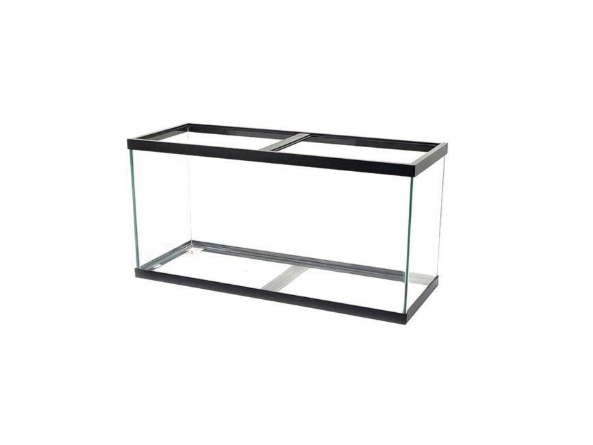 Rimless Aquarium
