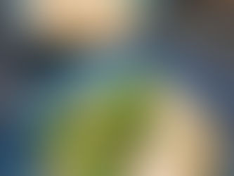 Avocado Spaghetti mit saftigem Ofenlachs