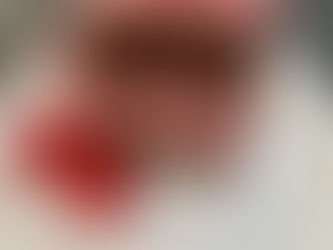 Schoko-Beerenkuchen (im Reiskocher)