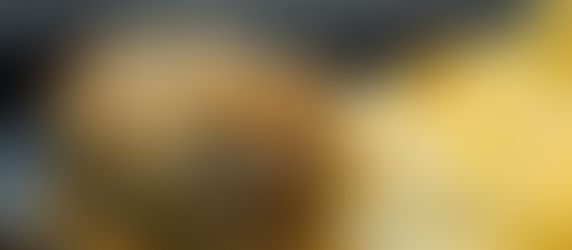 Spargel in Sauce Hollandaise mit Kartoffeln und Steak in Cognac-Sauce (3 Personen)